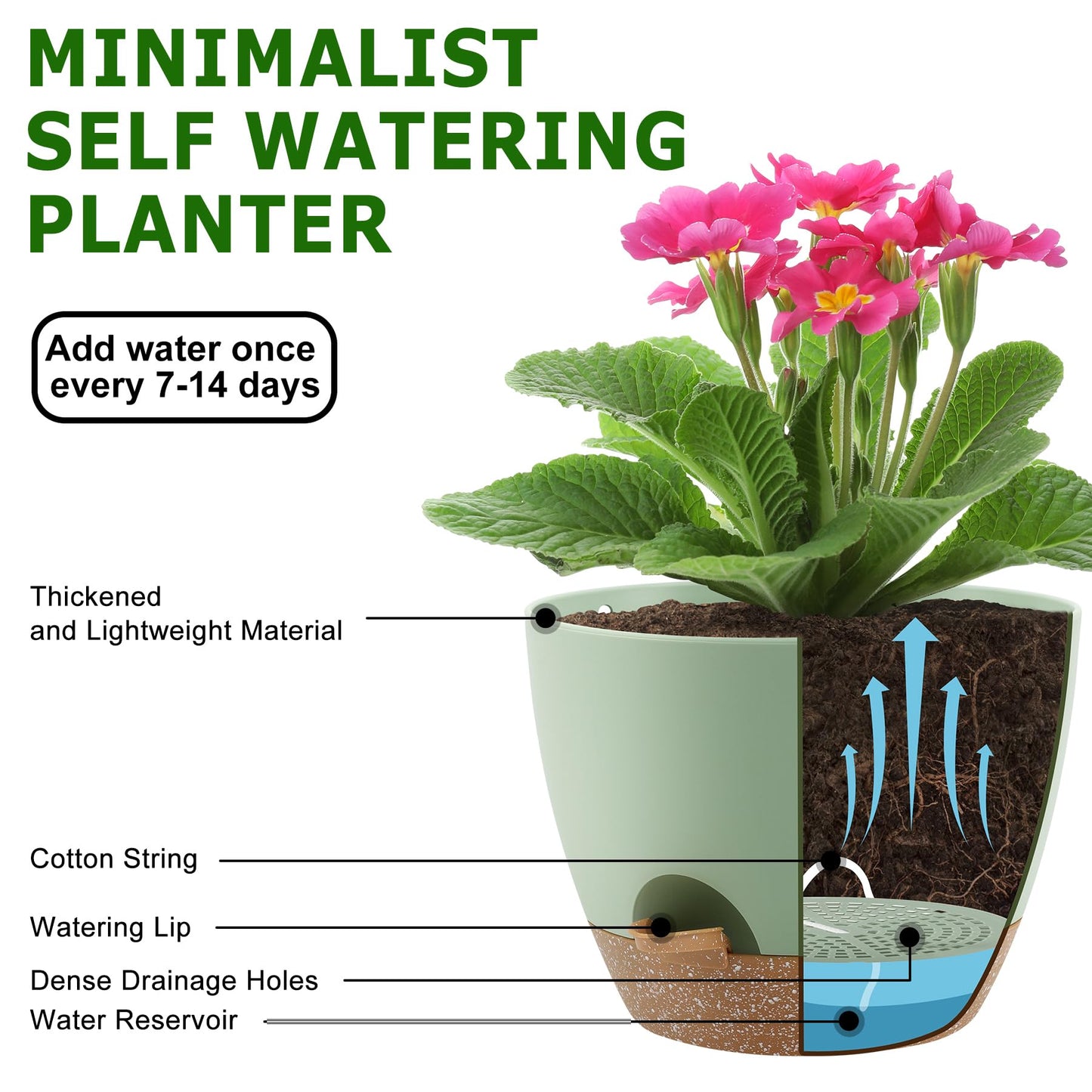 QRRICA Plant Pots 10/9/8 Inch Self Watering Pots, Set of 3 Plastic Planters with Drainage Holes and Saucers,Plastic Flower Pots,Nursery Planting Pot for Indoor Out Door Plants（Green）