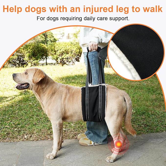 COODEO Adjustable Comfortable Dog Sling with Handle Hind Leg Support Soft Lift Support and Rehab Harness for Weak Rear Legs,Helps Senior, Injured, Disabled and After ACL Surgery Dogs Large (Black, XL)