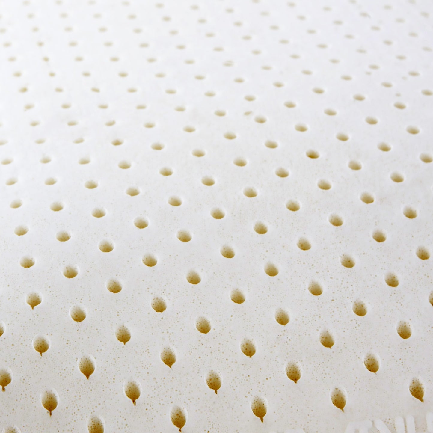 I AM Natural Talalay Latex Medium Support Bed Pillow for Sleeping, Removable and Breathable 100% Cotton Cover, White