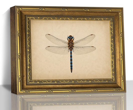 Vintage Dragonfly Wall Art, Gold Framed Insect Canvas Decor, 9x11in