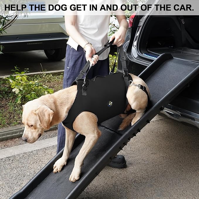 Coodeo Dog Lift Harness, Pet Support & Rehabilitation Sling Lift Adjustable Padded Breathable Straps for Old, Disabled, Joint Injuries, Arthritis, Loss of Stability Dogs Walk (Black, L)