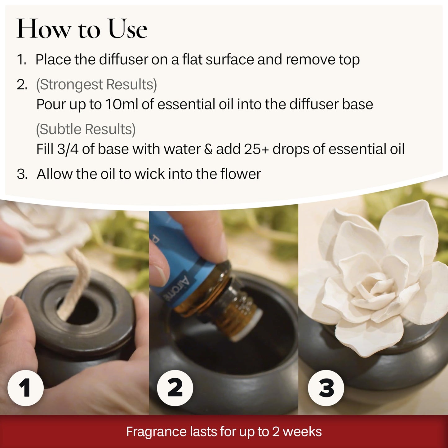 Airomé White Succulent, Porcelain Passive Essential Oil Diffuser (with 15ml Peppermint Essential Oil) – Non-Electric, Battery-Free, Improves Sleep, and Relieves Stress