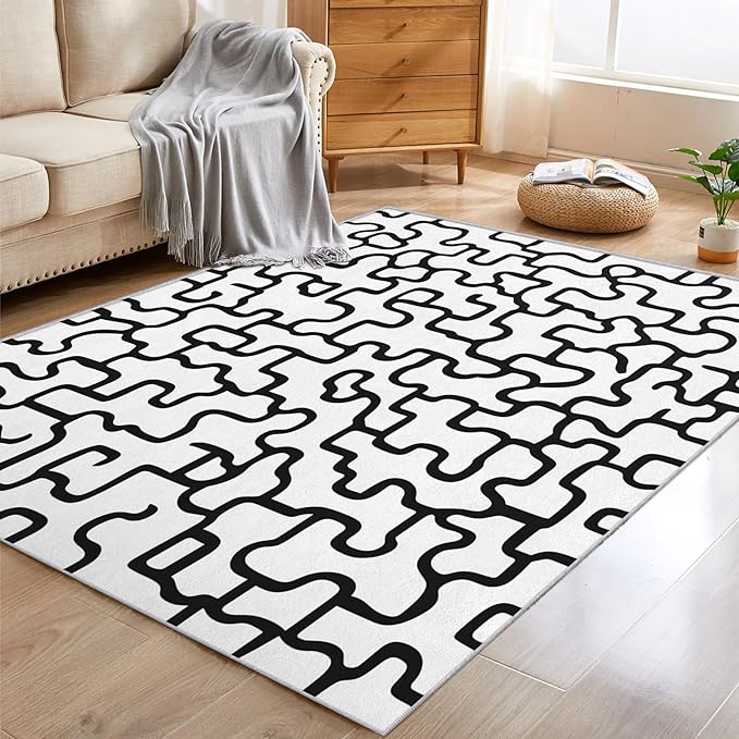 Abstract Geometric Rugs for Home Decor, 3x5 ft, Black and White Labyrinth Area Rugs for Living Room, Soft Non Slip Washable Modern Abstract Line Carpet Bedroom Decorations Dt-Ghf-31