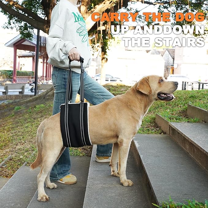 COODEO Adjustable Comfortable Dog Sling with Handle Hind Leg Support Soft Lift Support and Rehab Harness for Weak Rear Legs,Helps Senior, Injured, Disabled and After ACL Surgery Dogs Large (Black, XL)
