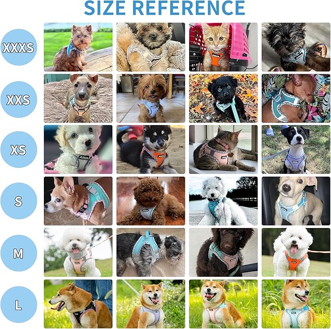 AIITLE XXS Dog Harness & Leash Set - Breathable Reflective No-Choke Small Dog Harness for Teacup Puppies, Indoor/Outdoor Use - Boston Terrier, Maltese, Chihuahua (Yellow, XXS)
