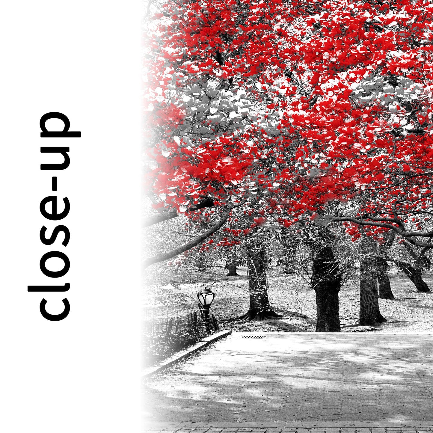 Muzenso Black and Red Trees Canvas Wall Art 20x40 Inch Surreal Black and White Landscape Scene in Central Park New York City Artwork with Black Floater Frame Modern Urban Home Decoration