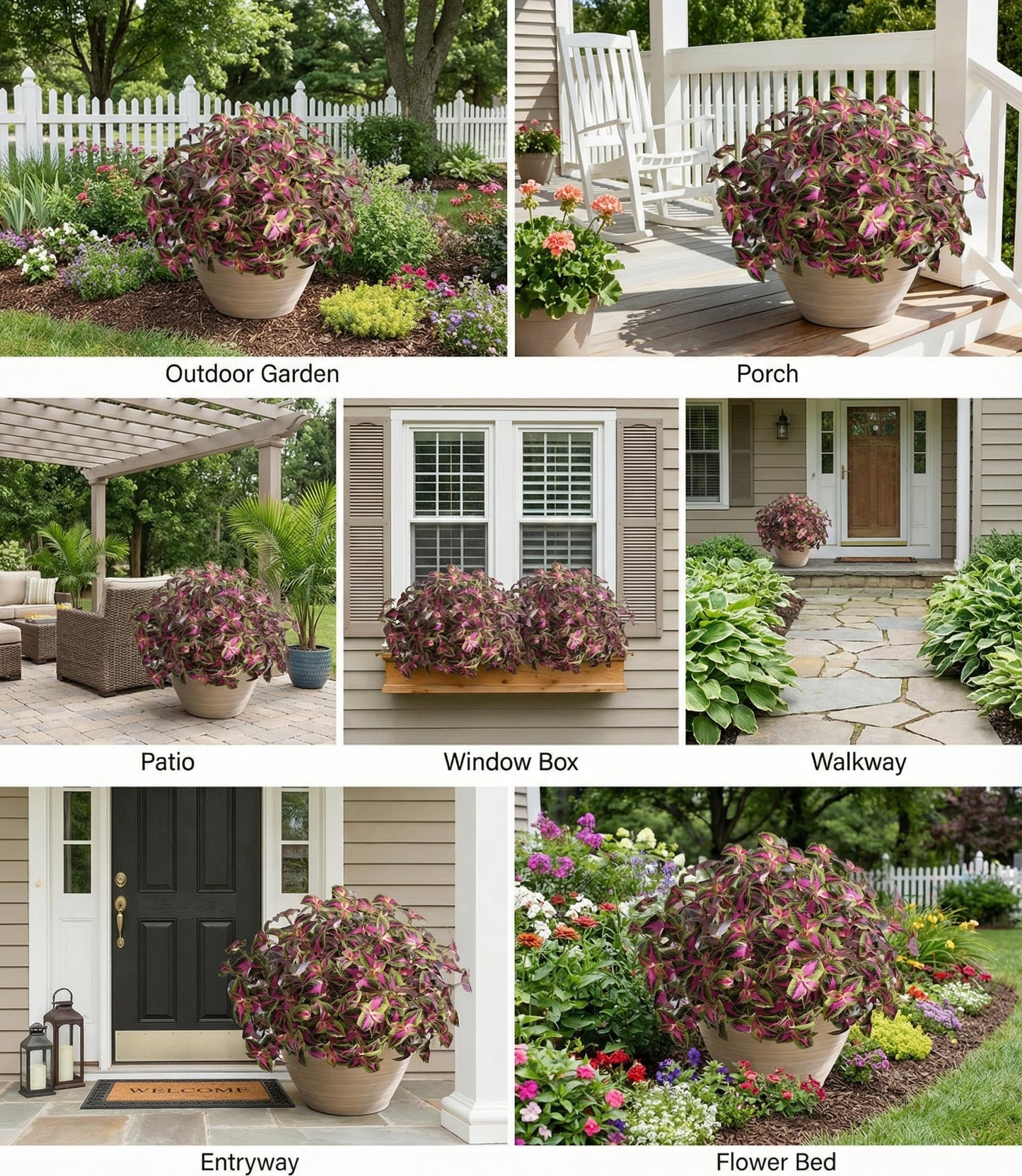 florisso Artificial Greenery Plants Outdoor, 5 Pcs Faux Coleus Plants UV Resistant Silk Plants with Stems, Fake Plants for Outside Garden Patio Hanging Planter Pathway Front Porch Decoration(Red)