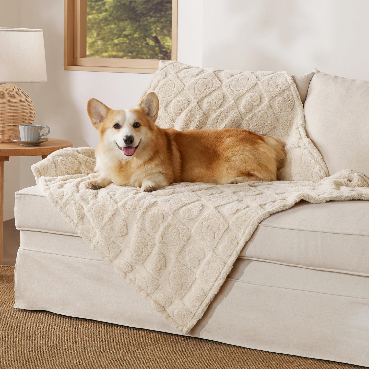Bedsure Dog Blankets for Large Dogs Washable - Fluffy Fuzzy Cat Puppy Blanket with Premium 300GSM Coral Fleece Soft for Pet Kitten Doggy, White, 40x50IN