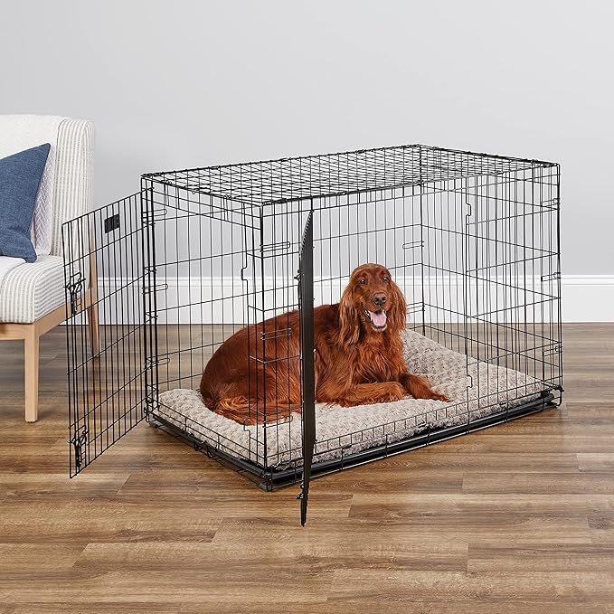 MidWest Homes for Pets 42-Inch Two-Door iCrate Folding Dog Crate with Divider Panel, Leak-Proof Tray & Secure Latches – Metal Wire Kennel for Large Breeds – Portable, Durable & Easy to Assemble