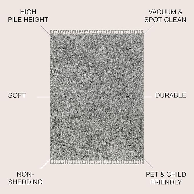JONATHAN Y Mercer Shag Plush Tassel Charcoal Indoor Area Rug, 4x6, Contemporary, Modern, Easy-Cleaning for Living Room, Bedroom, Kitchen, Pet Friendly, Non-Shedding (MCR100B-4)